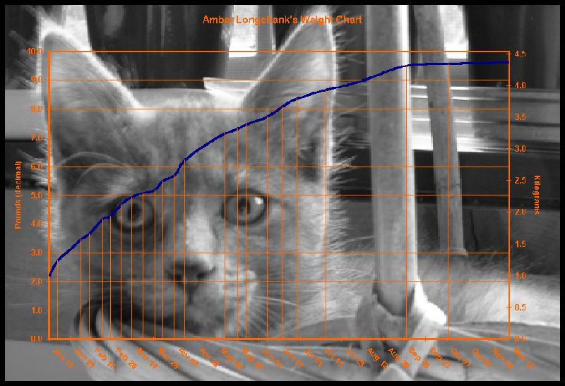 Amber's weight chart